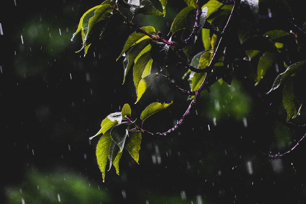 ali-kurmasha-BPp6fcxpzAk-unsplash
