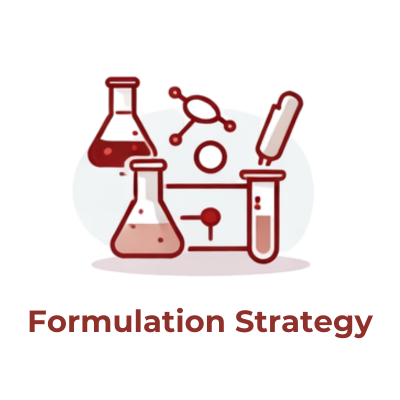 Formulation Strategy